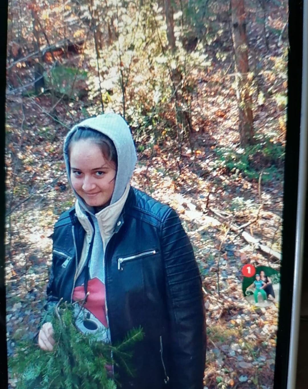 Copilă de 12 ani, căutată cu disperare de familie și polițiști