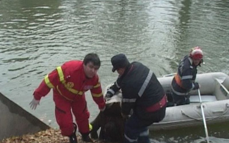 Descoperire macabră la podul de la Vadu Pașii