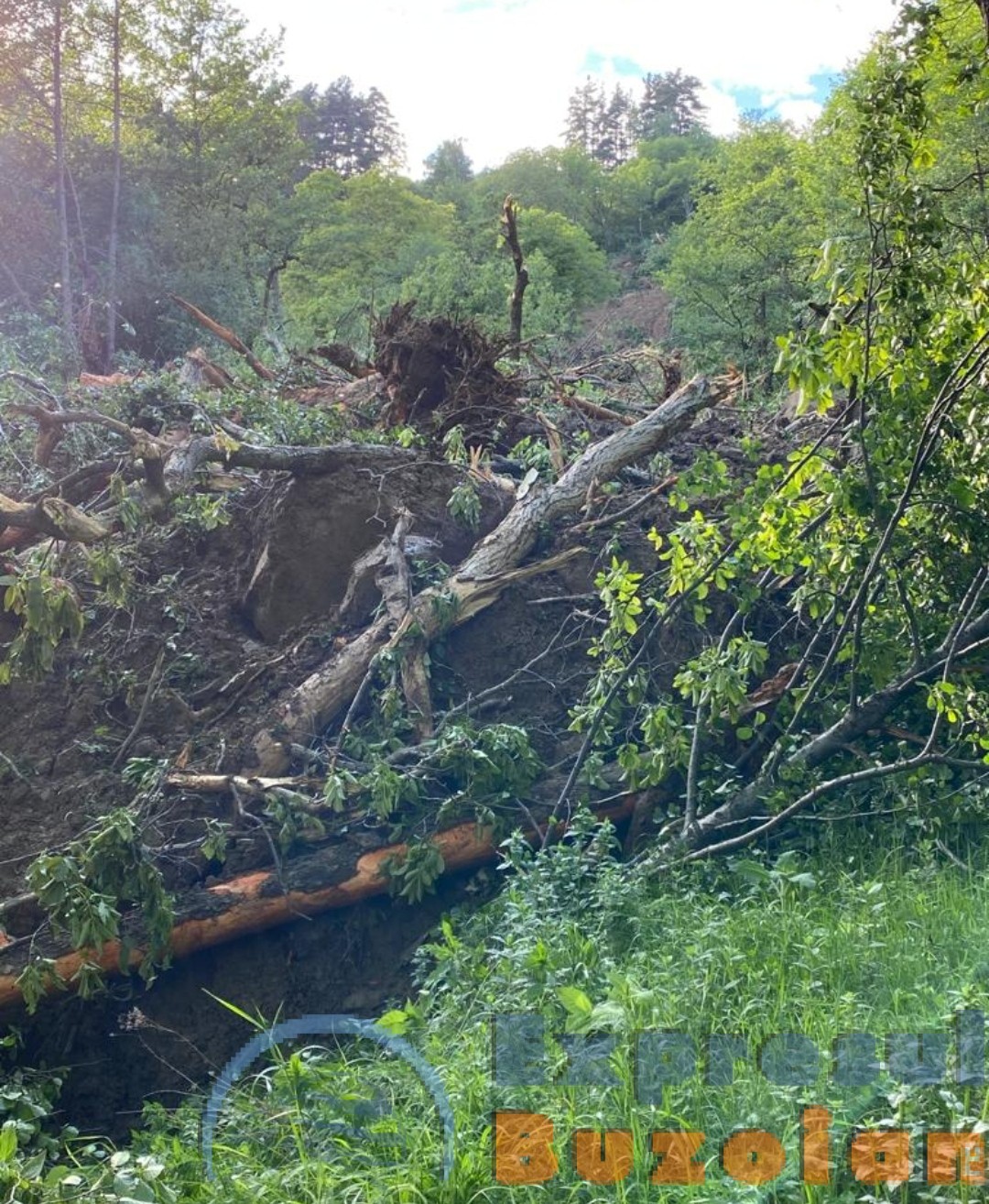 Între 10 şi 30 de hectare de pădure şi păşune, afectate de o alunecare de teren la Nehoiu. Ce spun autoritățile