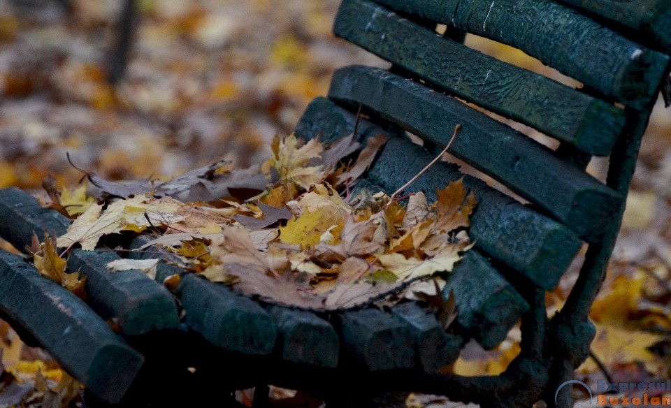 Avertisment din partea meteorologilor. Un val de aer polar va lovi România