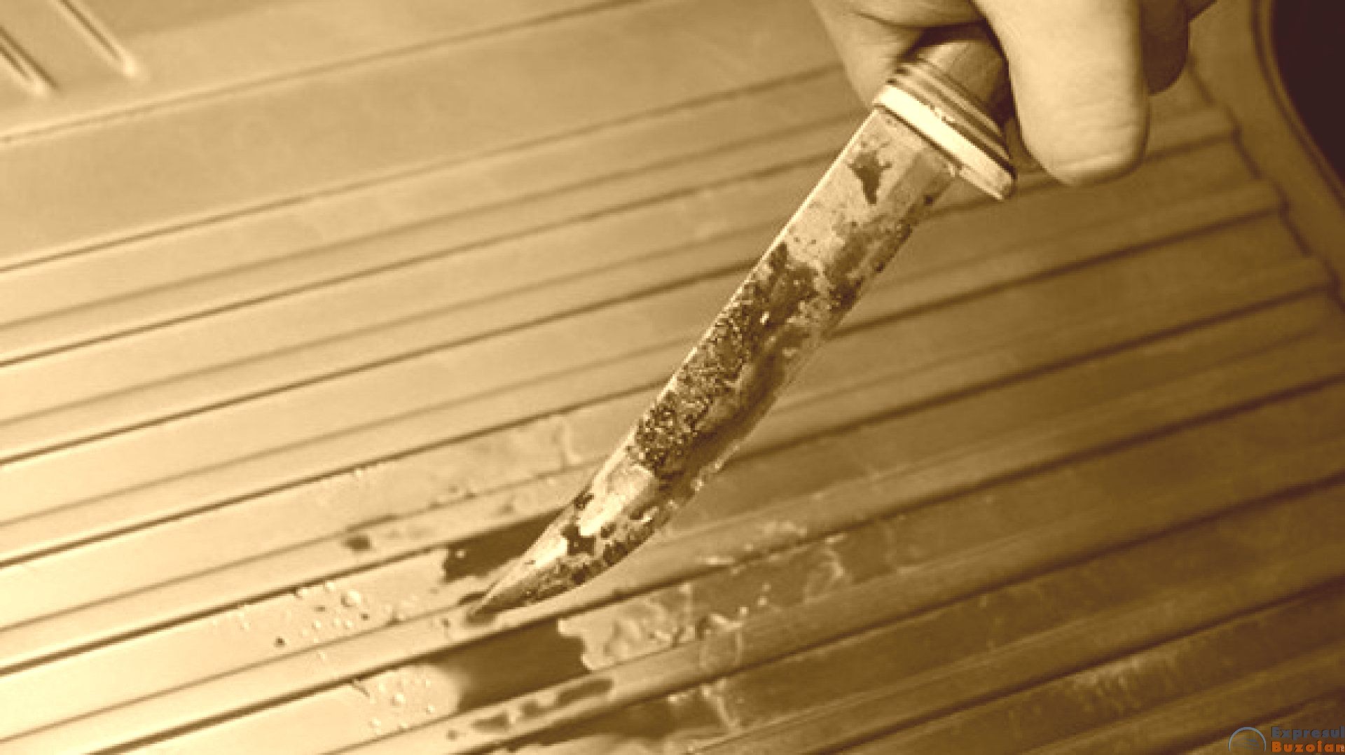 Gestul unei buzoience, studentă în Ploiești, a șocat întreaga comunitate din campusul universitar