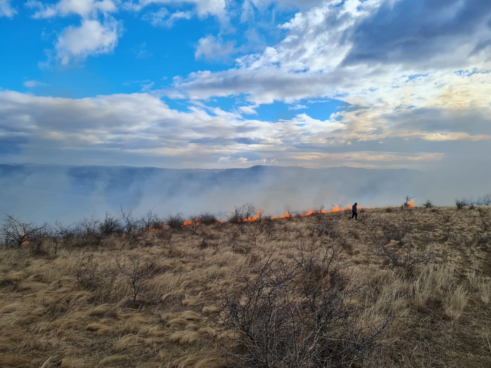 FOTO/VIDEO Incendiu de vegetație uscată la Cernătești. Autoritățile, în alertă