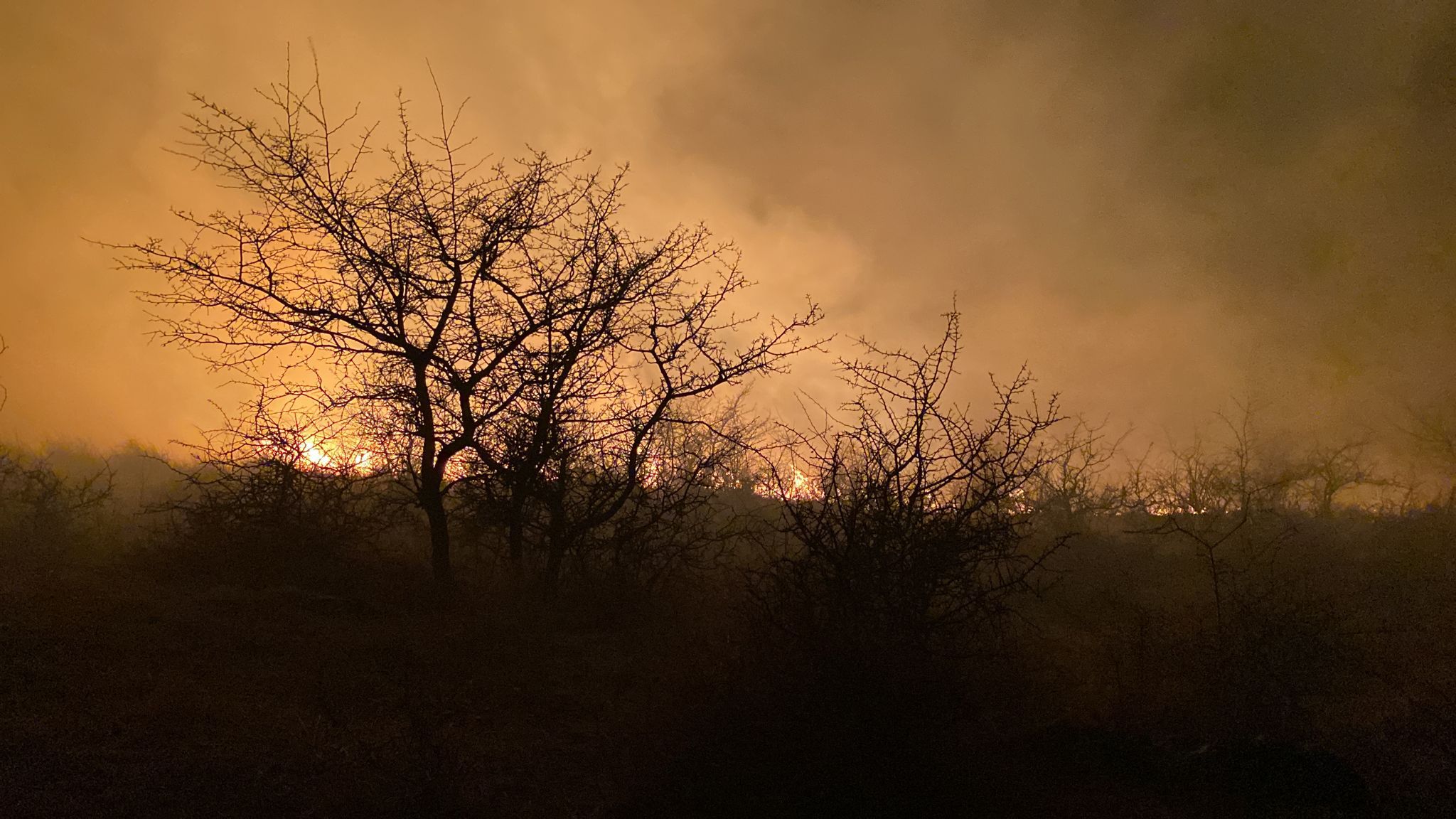 UPDATE VIDEO ULTIMA ORĂ!!! Incendii de amploare pe raza comunelor Pietroasele și Merei