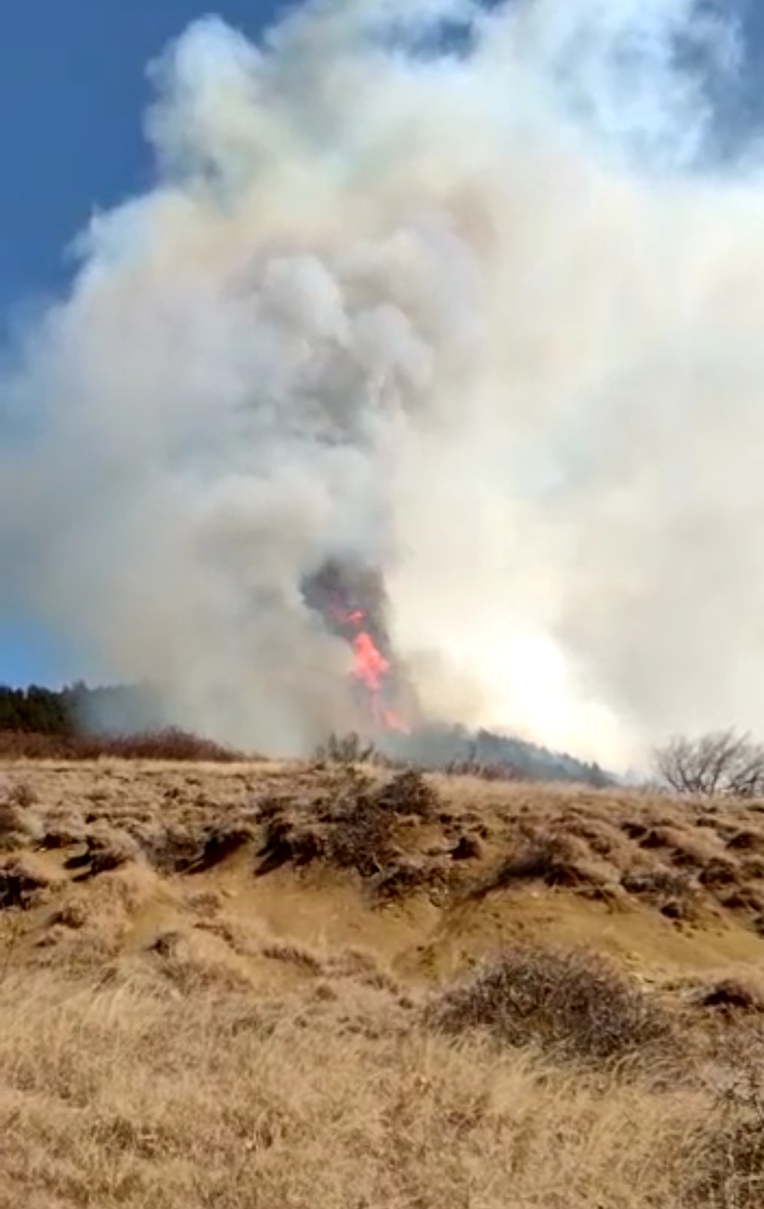 VIDEO Cel mai mare incendiu din acest an, acum, la Breaza. Exista posibilitatea de a se cere sprijin aerian