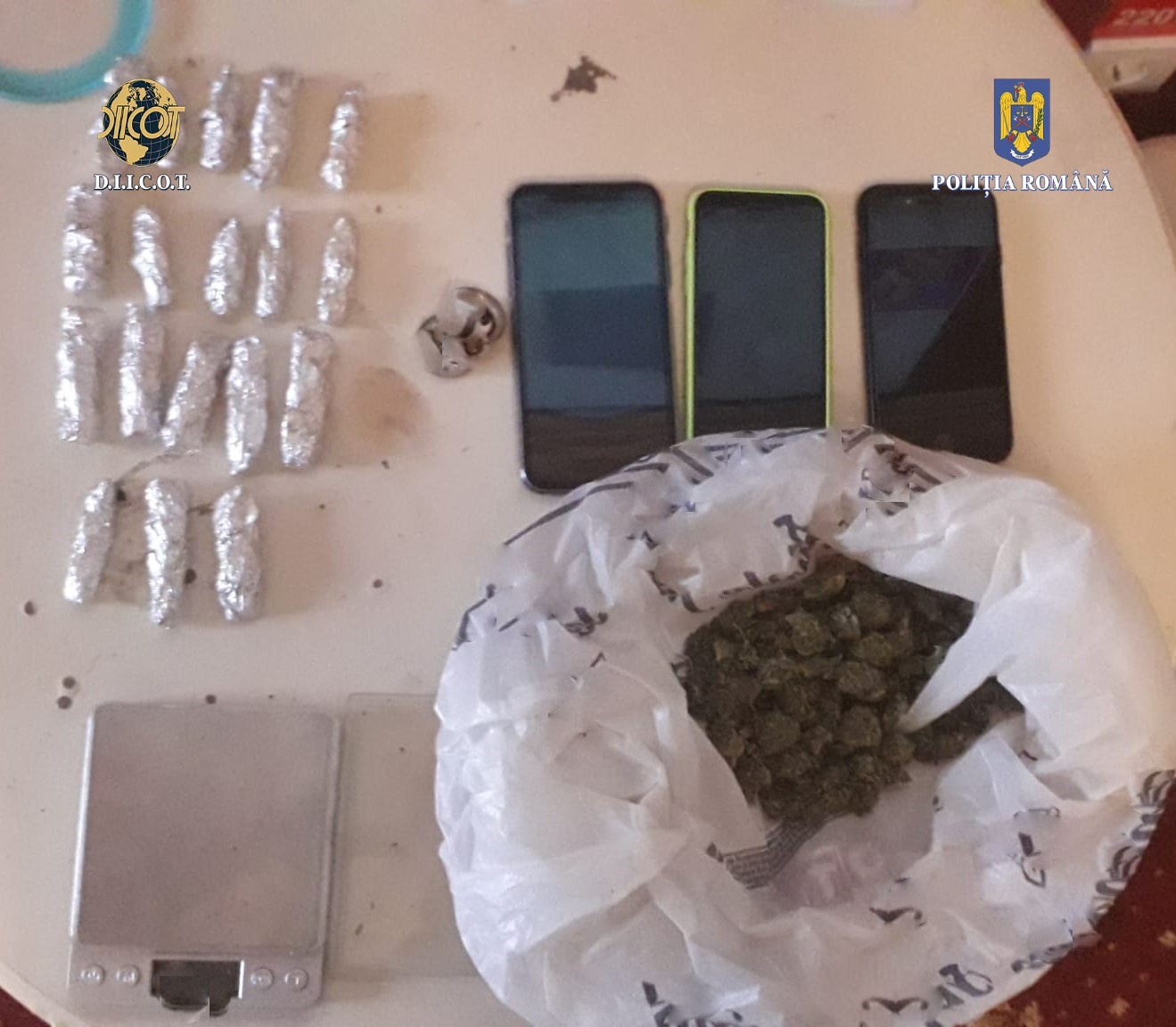 Percheziții la traficanți de droguri. Polițiștii buzoieni au descoperit inclusiv o cultură de cannabis