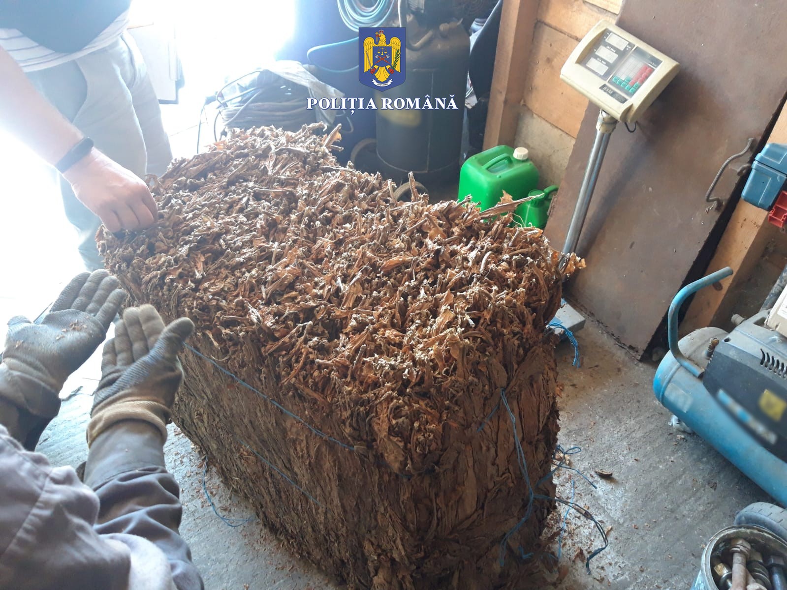 FOTO VIDEO  Percheziții la persoane bănuite de producere ilegală, deținere şi comercializare de țigări