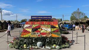 Duminică se deschide „Toamna Buzoiană”. Primăria a anunțat programul artistic al fiecărei seri