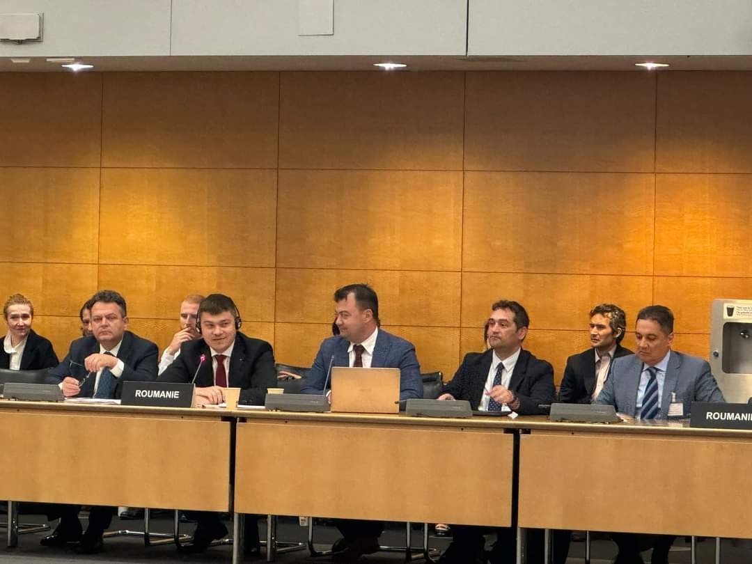 Buzoianul Alexandru Stoica, despre tendințele și provocările României în domeniul dezvoltării regionale și planificării teritoriale