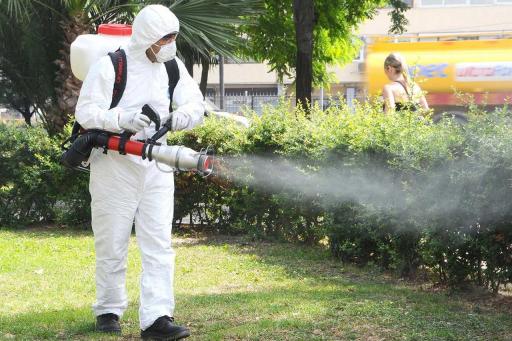 Începe acțiunea de dezinsecție la sol în municipiul Buzău. Iată programul