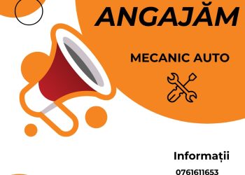 Angajăm Mecanic Auto! Alătură-te unei echipe de top!